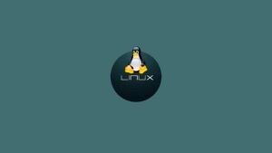 Linux